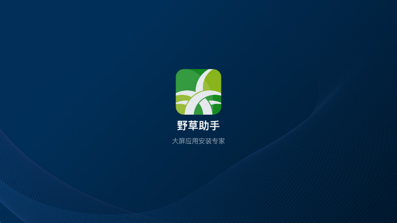 野草助手 2025永久口令大全截图